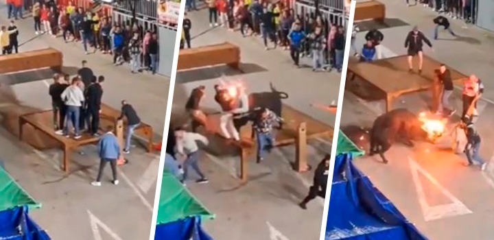 VIDEO| Joven le prende fuego a un toro y este le responde con una cornada -  Potosinoticias.com